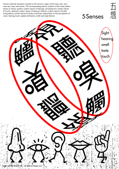 Hedgehogykl采集到海报