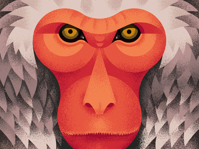 japanesemonkeyjapanananoredjapaneseanimalgeometriccloseuptexture