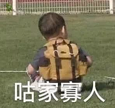 天佑切尔西采集到沙雕表情包