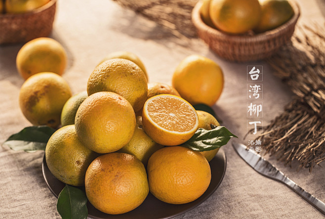 台湾柳丁