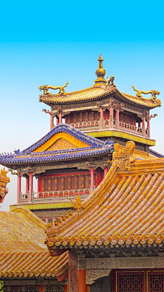 唐古拉的呼唤采集到在路上