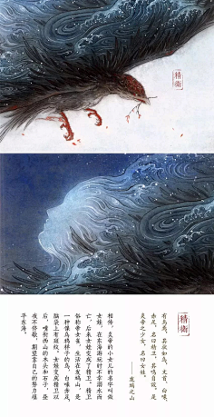 杨小花花呀呀呀采集到衫泽