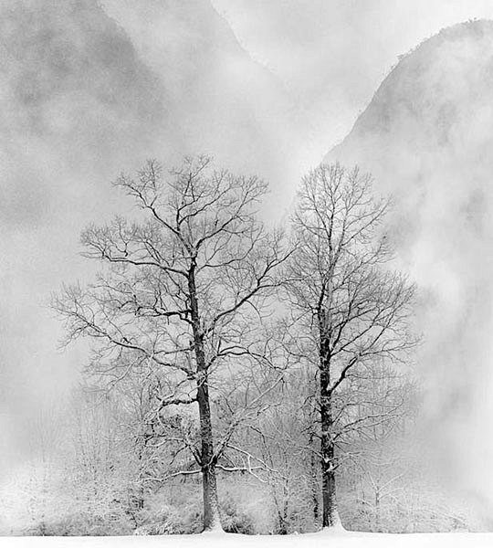 mehmet ozgur摄影作品 高长调.