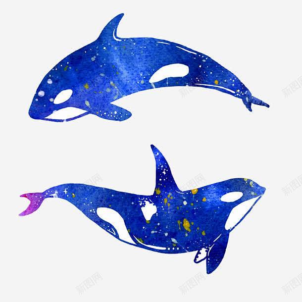 蓝色鲸鱼高清素材元素页面网页平面电商创意素材png素材