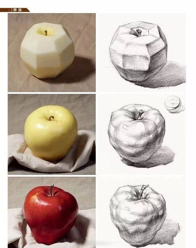 水果剖面素描图片
