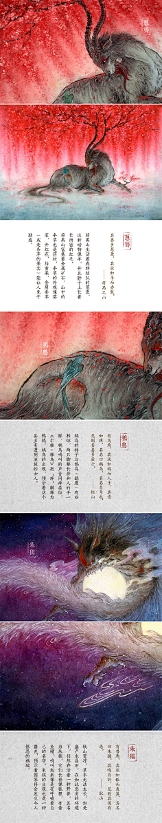 杨小花花呀呀呀采集到衫泽