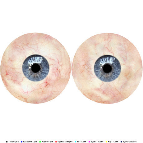 眼睛贴图材质贴图视觉中国下吧