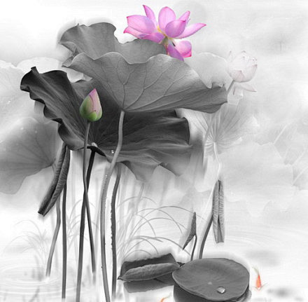 水墨莲花图片