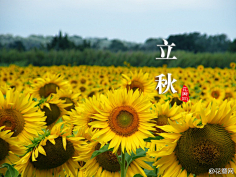 花瓣采集到花瓣说民俗