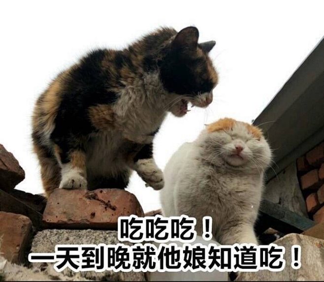 表情包-花瓣网|陪你做生活的设计师 | 表情包@山下有温酒