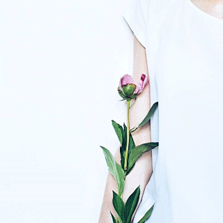 时光荏苒,岁月静好