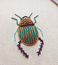 华丽的昆虫刺绣 | Humayrah Bint Altaf ​​​​