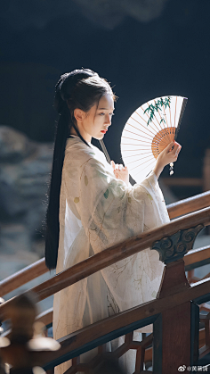 poco酱丫采集到摄影