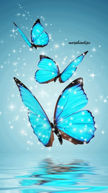 于2016-05-22 18:35:08blue butterflies动态图库六月幽雪同采自
