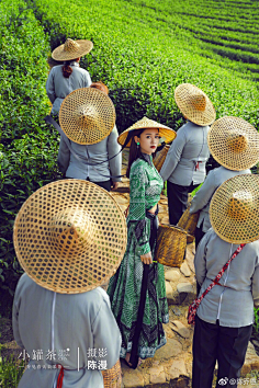 akong采集到旅游