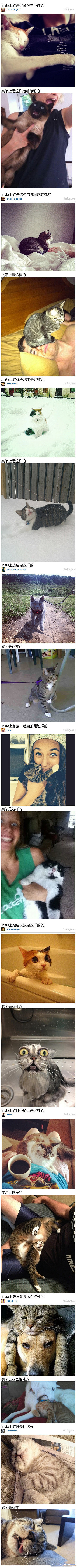 树下清歌采集到有意思