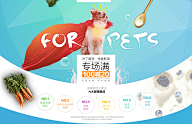 菲啊菲采集到波奇
