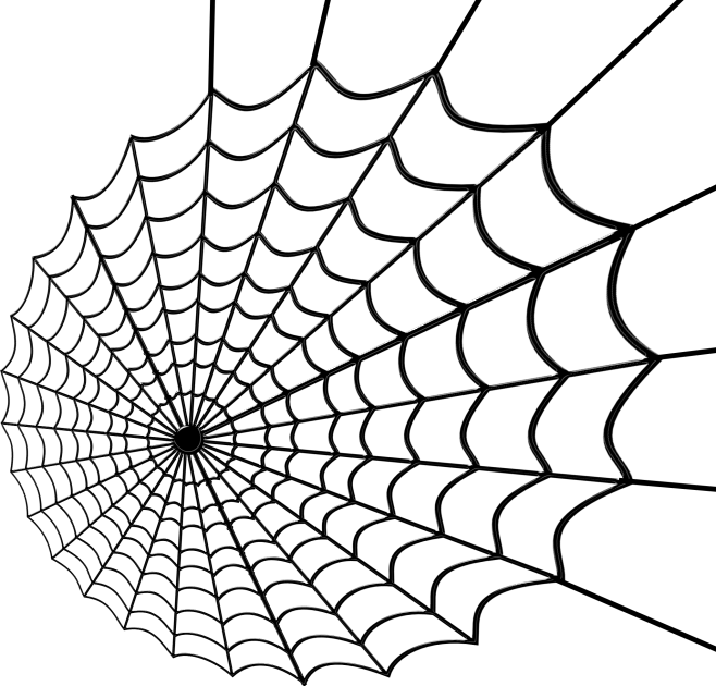蜘蛛网