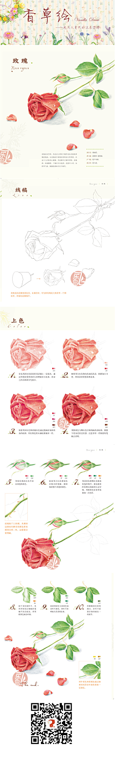 瑾喻采集到彩铅教程(静物)