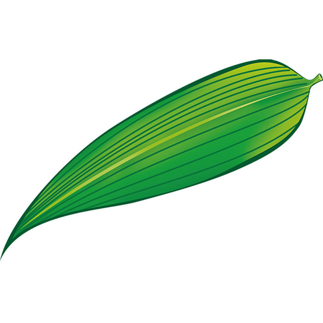 一片粽叶png