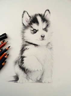 小阿牛哥哥采集到原画 CG 插画