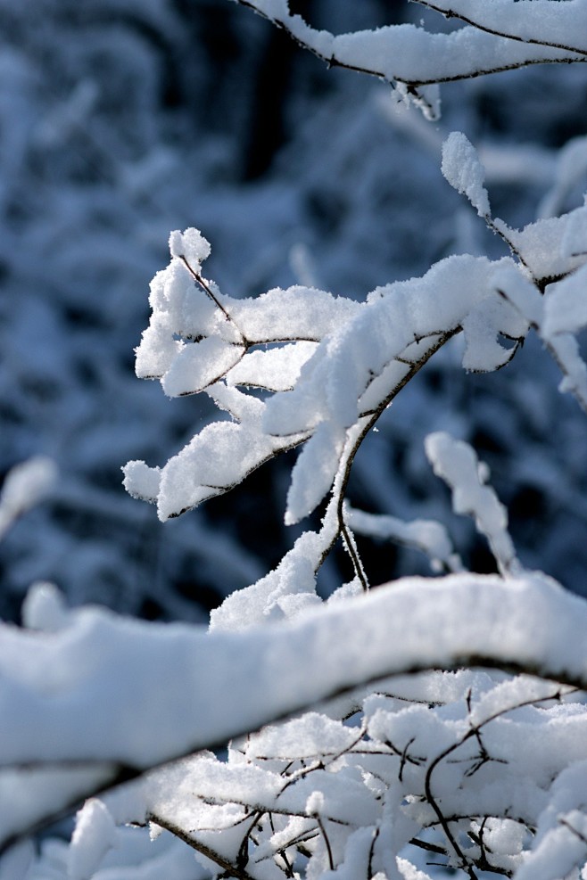 雪