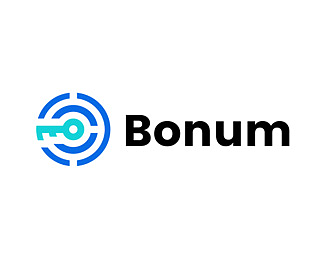 Bonum标志设计 钥匙 搜索 查询 安防 安全 加密