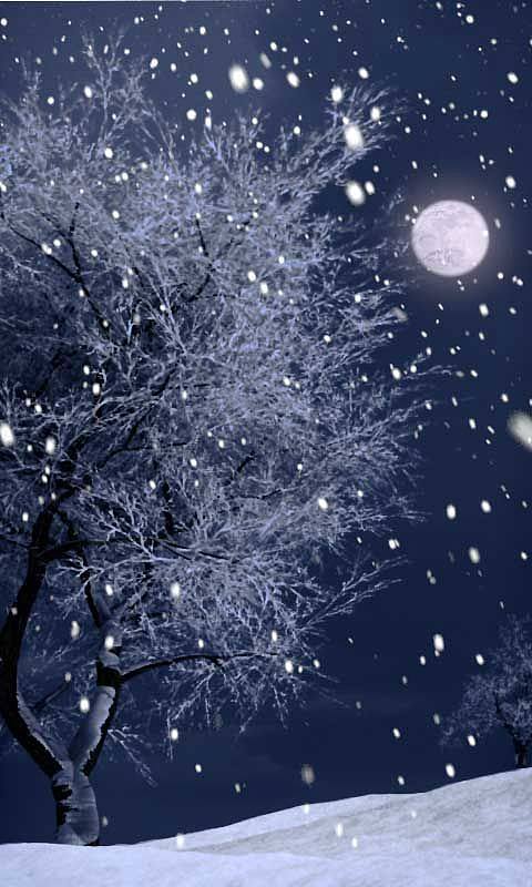 月景雪景图片