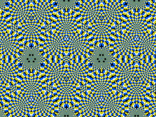 密集恐惧症患者慎入静态神奇图片欣赏测试zeze啧啧