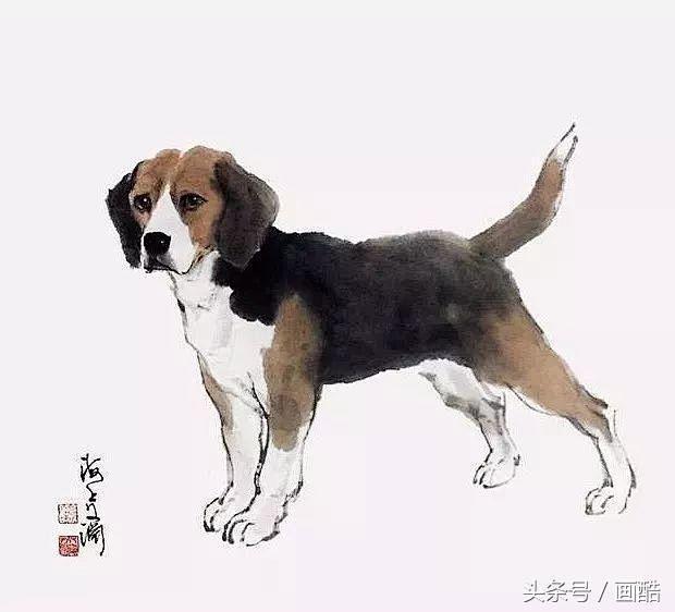 葵葵插画从loud_silence转采于2018-01-25 10:25:51画家奚文渊画狗狗