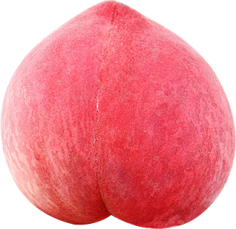 xx仙人掌xx采集到fruit