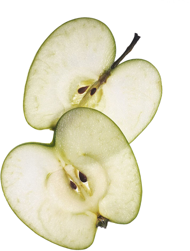 苹果解剖图横切纵切图片