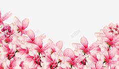 无人驱采集到桃花节素材