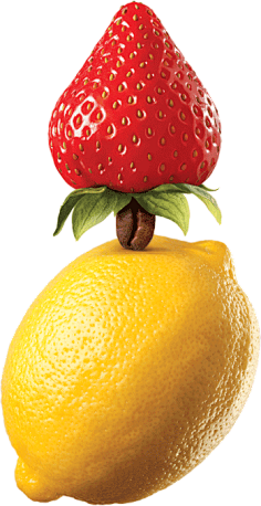 xx仙人掌xx采集到fruit