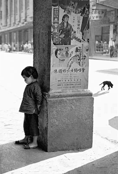 君无恨°采集到黑夜前,一个人的典礼