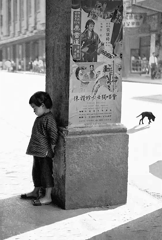 君无恨°采集到黑夜前,一个人的典礼