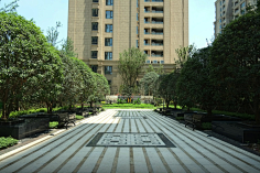 专注景观采集到实景案例