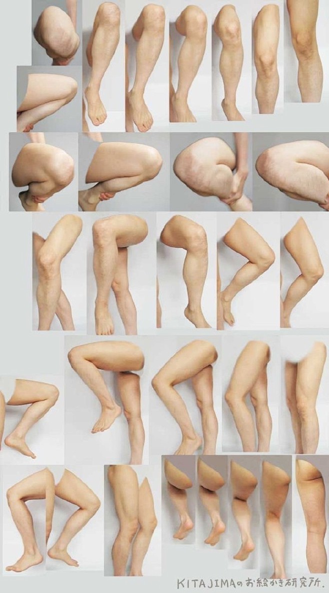 人体四肢是指哪四肢图片