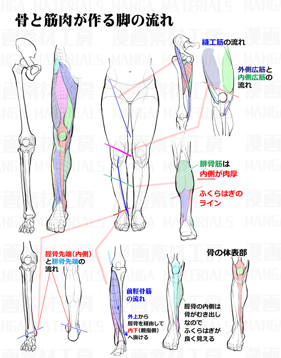 脚の描き方 骨と筋肉の流れ アングル変化時の違和感と修正法 漫画素材工房 の漫画 Pixiv