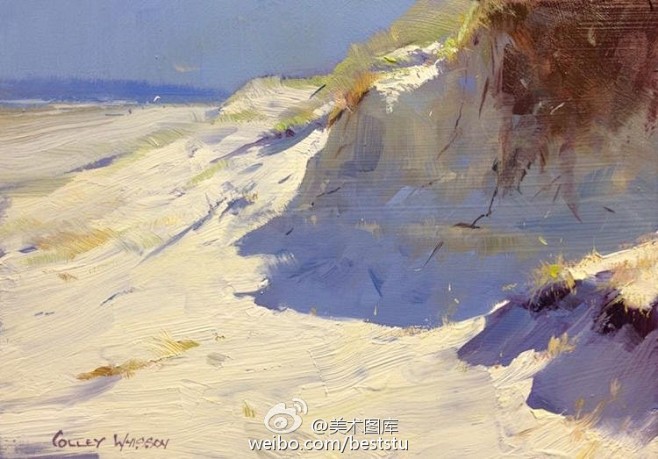 小澈的红杉树海采集到美丽色彩