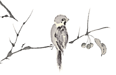Aier*采集到山水画