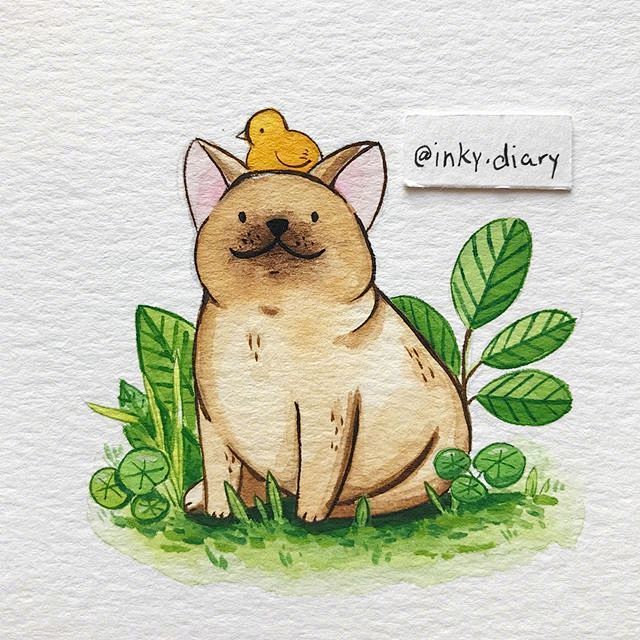 手绘插画教程的微博微博