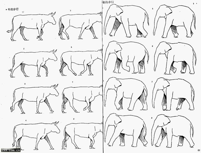 四足动物的运动规律并附经典参考图讲解299动画