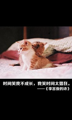 曾哥曾哥采集到电影台词