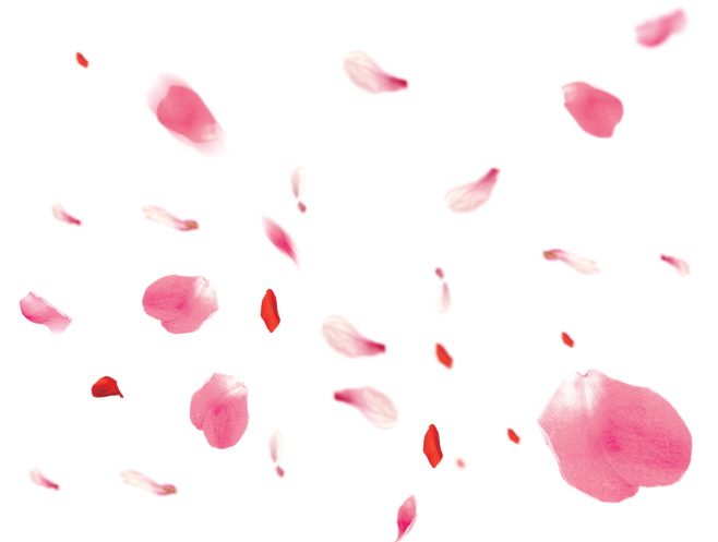 飘落花瓣
