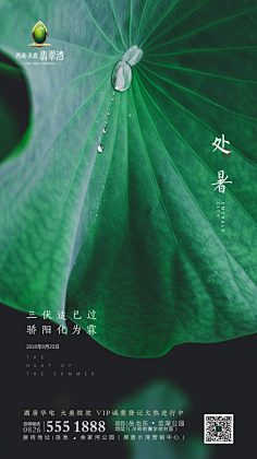 左耳进右耳出采集到节日节气