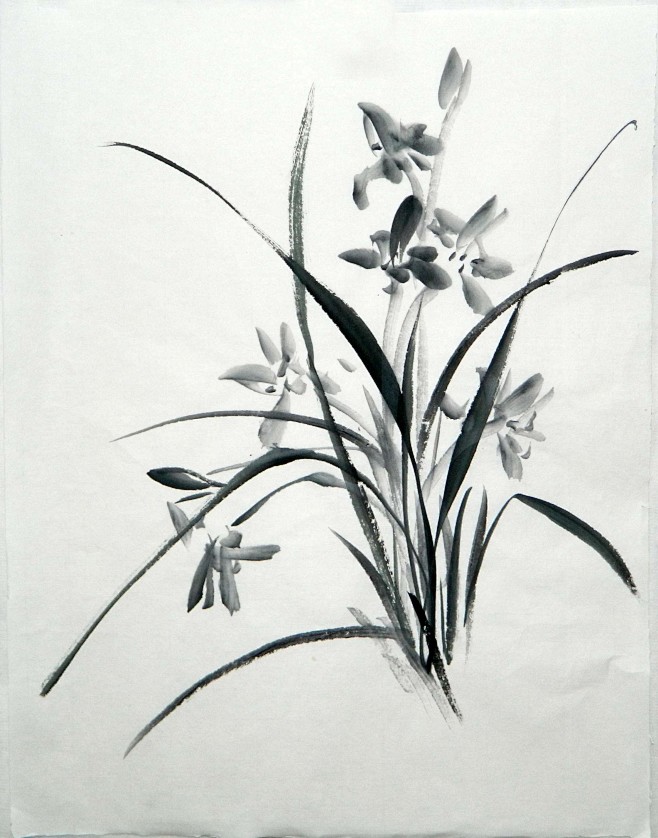 纯手工国画竖幅小品花鸟水墨兰花随机写意手绘真迹无款装饰画淘宝网