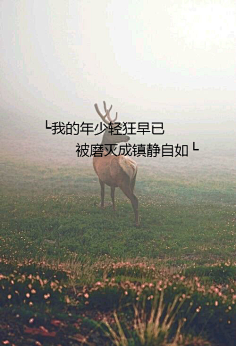 潘潘}采集到文痕