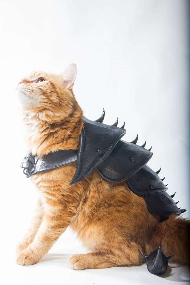 3D打印的猫咪防护装甲，防受伤，猫奴最爱...