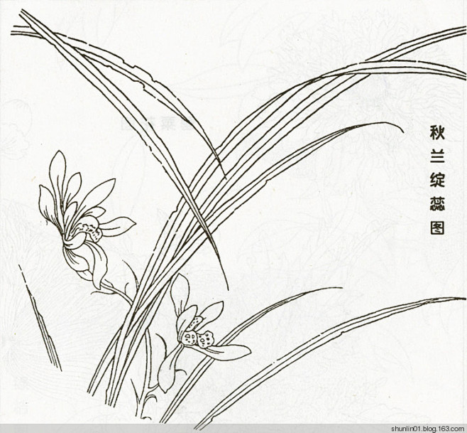 宋代花鸟画白描图100幅shunlin01美术小说连环画